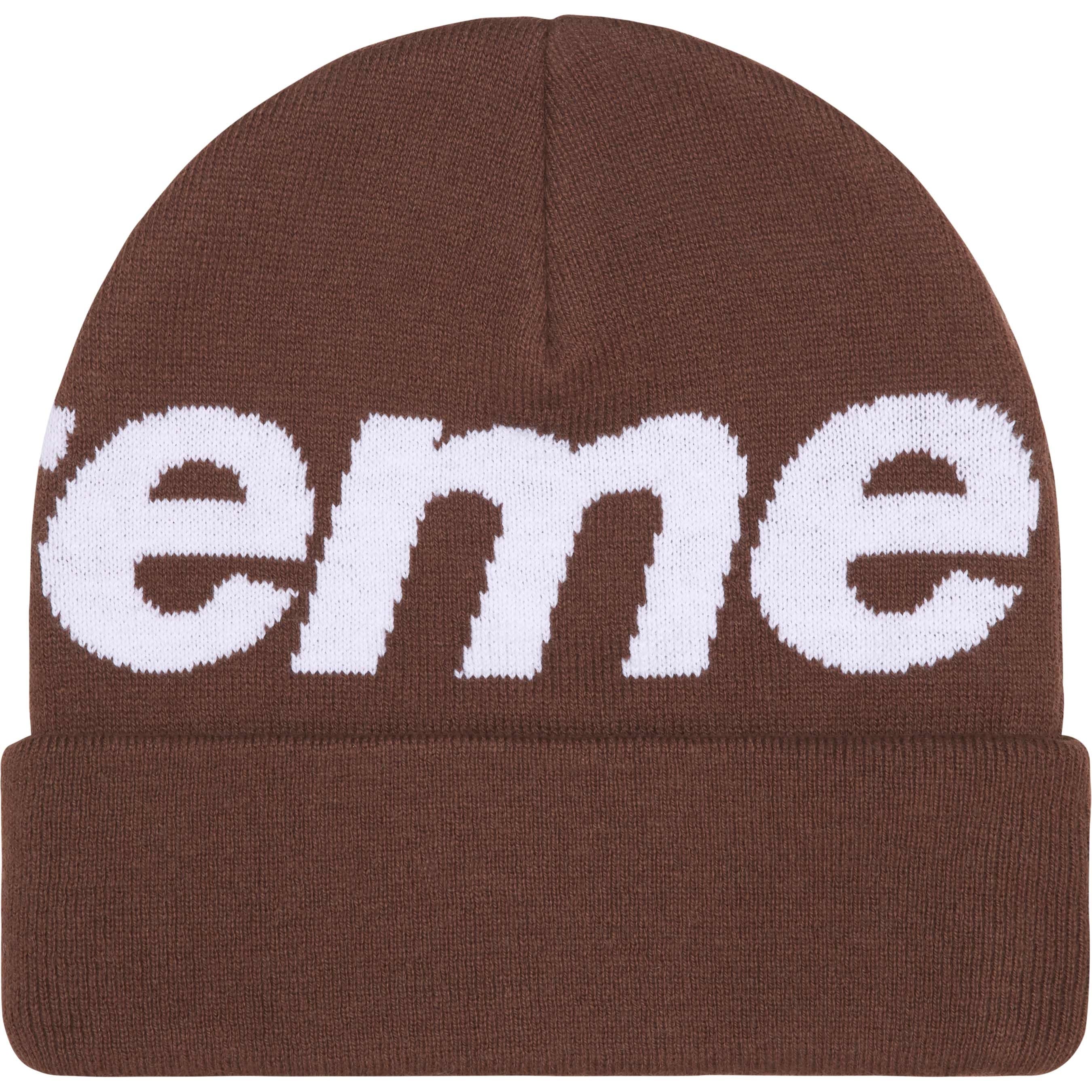 Big Logo Beanie view 9